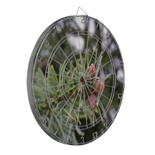 Buds Dartscheibe (Vorderseite Links)