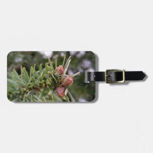 Buds Gepäckanhänger