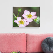 Buds in Early Spring Dogwood Leinwanddruck (Insitu (Wohnzimmer))