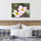 Buds in Early Spring Dogwood Leinwanddruck (Insitu (Schlafzimmer))