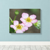 Buds in Early Spring Dogwood Leinwanddruck (Insitu (Holzboden))