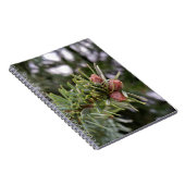 Buds Notizblock (Rechte Seite)