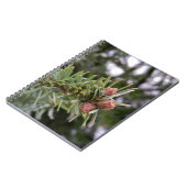 Buds Notizblock (Linke Seite)