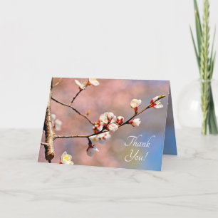 Buds of japan Apricot Blume Dankeskarte