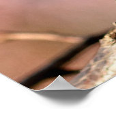 Buds of japan Apricot Blume Poster (Ecke)