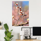Buds of japan Apricot Blume Poster (Heimbüro)
