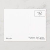 Budva ballerina Postcard Postkarte (Rückseite)