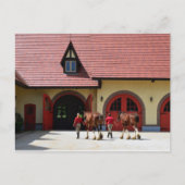 Budweiser Clydesdale Pferde in New Hampshire Postkarte (Vorderseite)