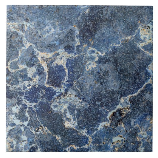 Bue Gray Black Marble & Beige Veins Fliese (Vorderseite)