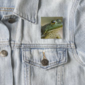 Bufallo National River, Nordwest Arkansas Button (Beispiel)