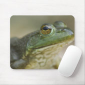 Bufallo National River, Nordwest Arkansas Mousepad (Mit Mouse)