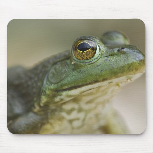 Bufallo National River, Nordwest Arkansas Mousepad (Vorne)