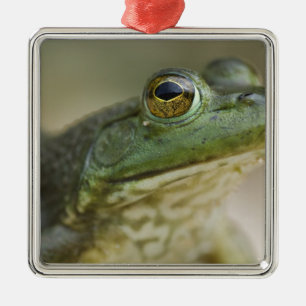 Bufallo National River, Nordwest Arkansas Ornament Aus Metall