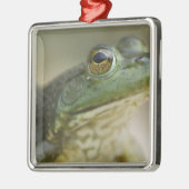 Bufallo National River, Nordwest Arkansas Ornament Aus Metall (Links)