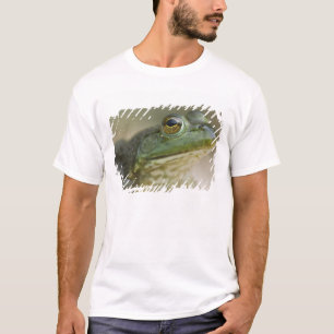 Bufallo National River, Nordwest-Arkansas T-Shirt