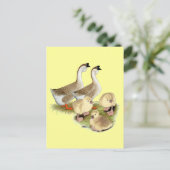 Buff African Goose Family Postkarte (Stehend Vorderseite)