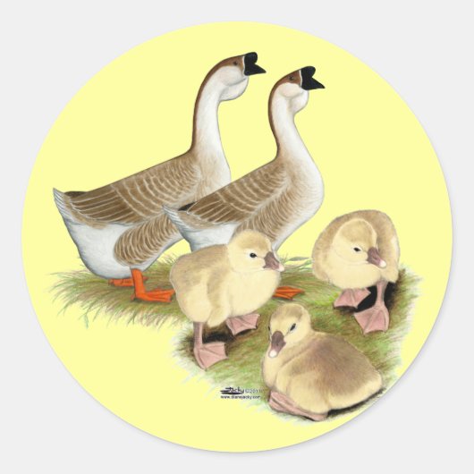 Buff African Goose Family Runder Aufkleber (Vorderseite)