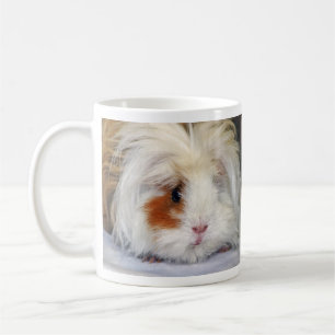 Buff and White, Lunkarya Guinea Schweinegesicht ge Kaffeetasse
