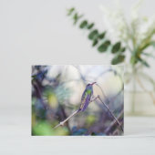 Buff-belogene Postkarte (Stehend Vorderseite)