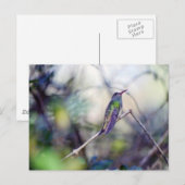 Buff-belogene Postkarte (Vorne/Hinten)