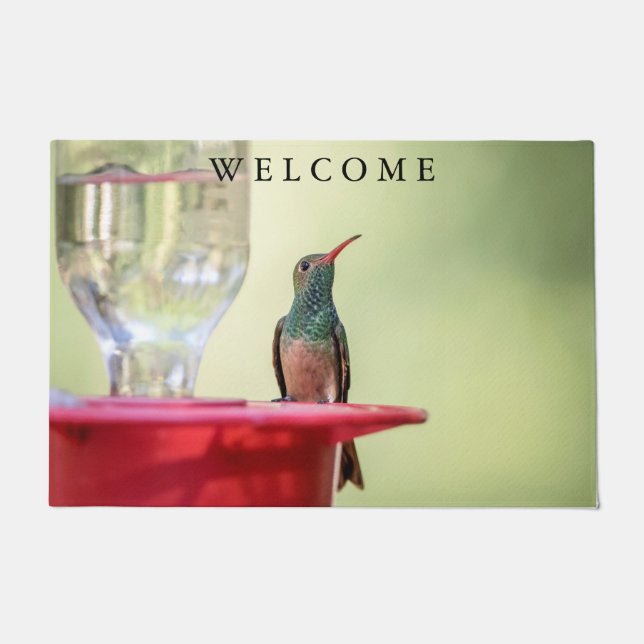 Buff-Bummingbird in Texas Fußmatte (Vorderseite)