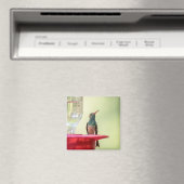 Buff-Bummingbird in Texas Magnet (In Situ (Geschirrspüler))