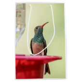 Buff-Bummingbird in Texas Mittlere Geschenktüte (Vorderseite)