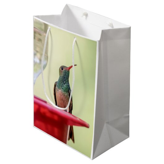 Buff-Bummingbird in Texas Mittlere Geschenktüte (Vorderseite Schrägansicht)