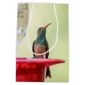 Buff-Bummingbird in Texas Mittlere Geschenktüte (Rückseite)
