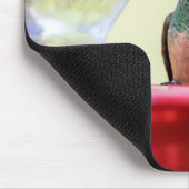 Buff-Bummingbird in Texas Mousepad (Ecke)