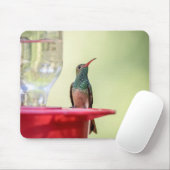 Buff-Bummingbird in Texas Mousepad (Mit Mouse)