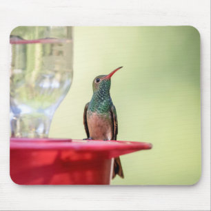 Buff-Bummingbird in Texas Mousepad