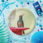 Buff-Bummingbird in Texas Pappteller (Party)
