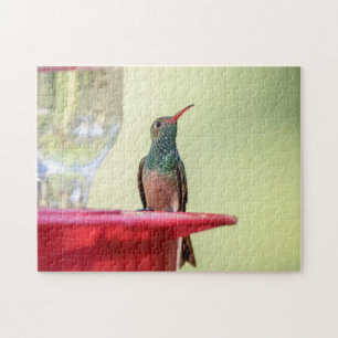 Buff-Bummingbird in Texas Puzzle