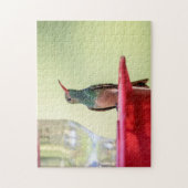 Buff-Bummingbird in Texas Puzzle (Vertikal)