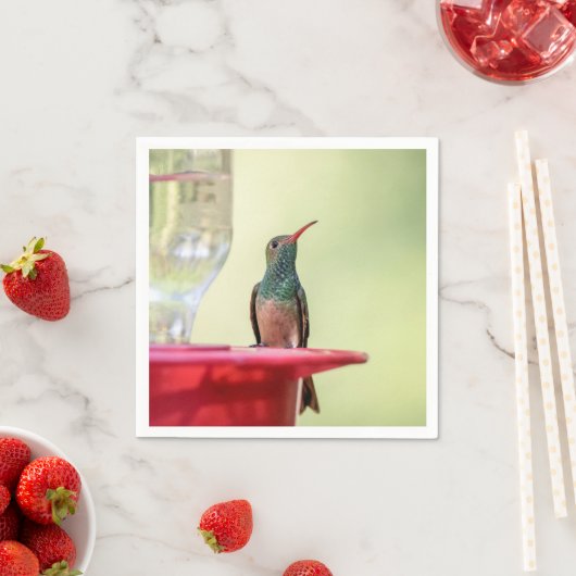 Buff-Bummingbird in Texas Serviette (Beispiel)