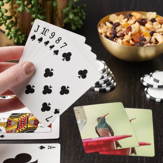 Buff-Bummingbird in Texas Spielkarten (In Situ)