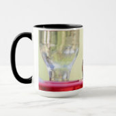 Buff-Bummingbird in Texas Tasse (Links)