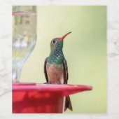 Buff-Bummingbird in Texas Weinetikett (Einzelnes Label)