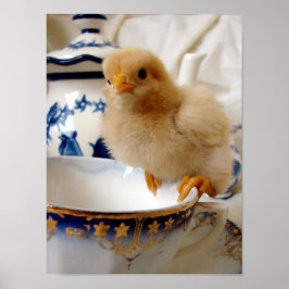 Buff Chick at Tee Poster