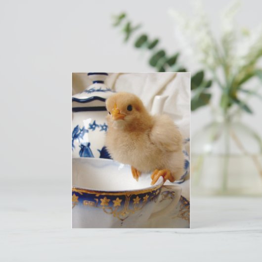 Buff Chick at Tee Postkarte (Stehend Vorderseite)