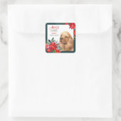 Buff Cocker Spanel Dog Poinsettia Bouquet Quadratischer Aufkleber (Tasche)