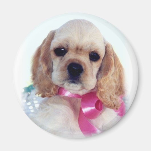 Buff Cocker Welpenmagnet Magnet (Vorne)