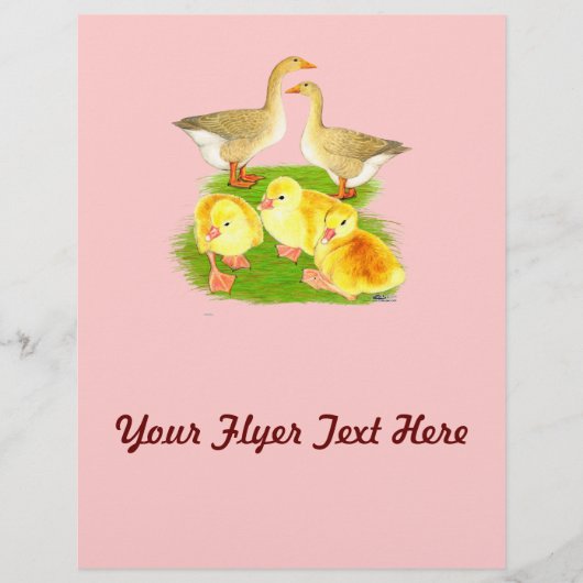 Buff Goose Family Flyer (Vorne)