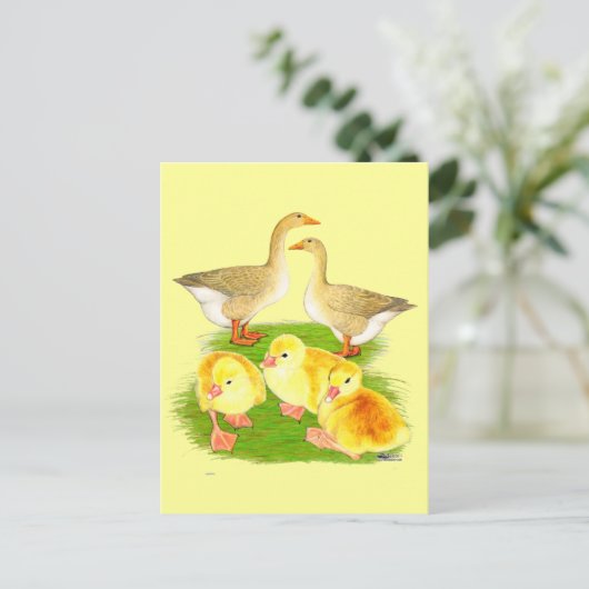Buff Goose Family Postkarte (Stehend Vorderseite)