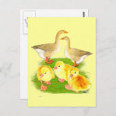 Buff Goose Family Postkarte (Vorne/Hinten)