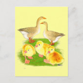 Buff Goose Family Postkarte (Vorderseite)