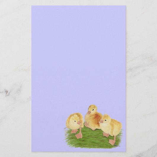 Buff Goslings Tufted Briefpapier (Vorderseite)