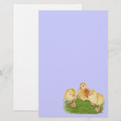Buff Goslings Tufted Briefpapier (Vorne/Hinten)
