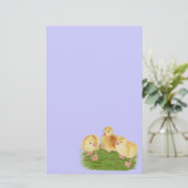 Buff Goslings Tufted Briefpapier (Stehend Vorderseite)